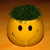 adrianTNT Admin adrianTNT Admin